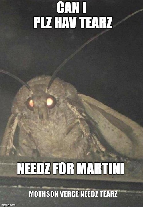 Mothson Verge | CAN I PLZ HAV TEARZ; NEEDZ FOR MARTINI; MOTHSON VERGE NEEDZ TEARZ | image tagged in moth | made w/ Imgflip meme maker