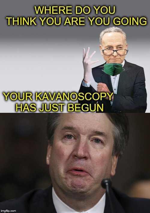 It will never end. | WHERE DO YOU THINK YOU ARE YOU GOING; YOUR KAVANOSCOPY HAS JUST BEGUN | image tagged in brett kavanaugh,kavanascopy,borked,chuck schumer,memes | made w/ Imgflip meme maker