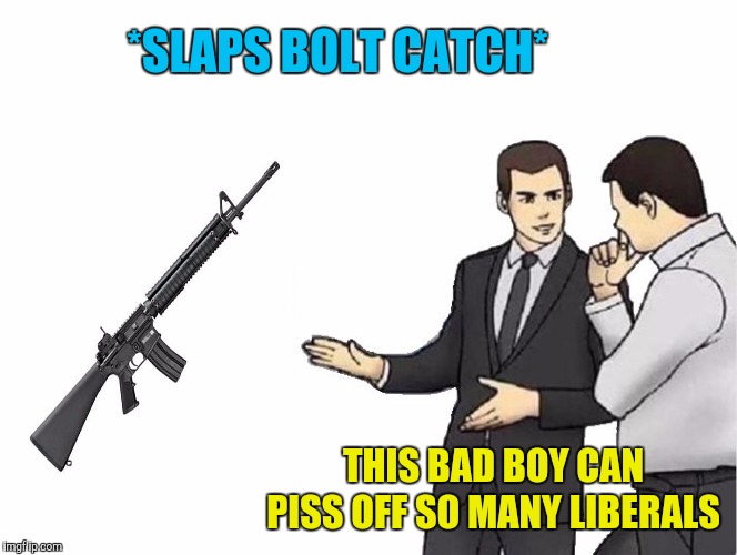 Car Salesman Slaps Hood Meme | *SLAPS BOLT CATCH*; THIS BAD BOY CAN PISS OFF SO MANY LIBERALS | image tagged in memes,car salesman slaps hood,ar15,liberals,guns | made w/ Imgflip meme maker