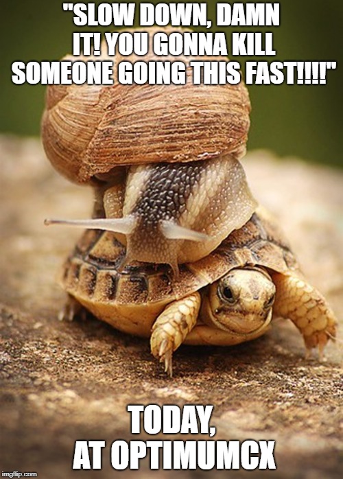 Slow Day | "SLOW DOWN, DAMN IT! YOU GONNA KILL SOMEONE GOING THIS FAST!!!!"; TODAY, AT OPTIMUMCX | image tagged in slow day | made w/ Imgflip meme maker