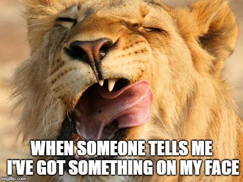 WHEN SOMEONE TELLS ME I'VE GOT SOMETHING ON MY FACE | image tagged in animal meme,memes | made w/ Imgflip meme maker