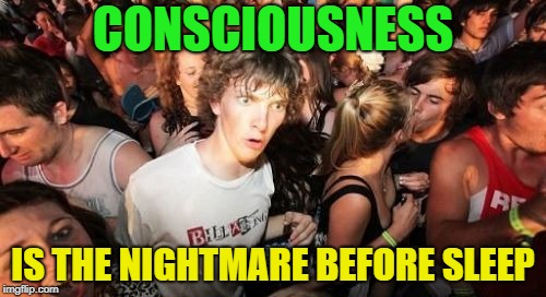 "Living the Dream" Nightmares are dreams too | CONSCIOUSNESS; IS THE NIGHTMARE BEFORE SLEEP | image tagged in memes,sudden clarity clarence,funny,dreams,nightmares | made w/ Imgflip meme maker