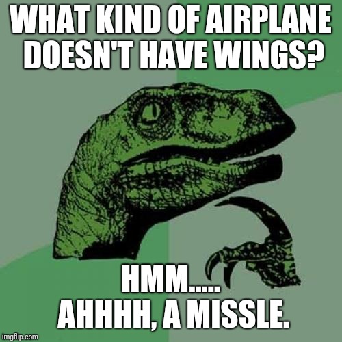 Philosoraptor | WHAT KIND OF AIRPLANE DOESN'T HAVE WINGS? HMM..... AHHHH, A MISSLE. | image tagged in memes,philosoraptor | made w/ Imgflip meme maker