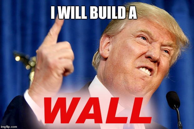 Donald Trump | I WILL BUILD A; WALL | image tagged in donald trump | made w/ Imgflip meme maker