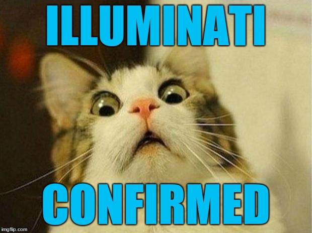 Scared Cat Meme | ILLUMINATI; CONFIRMED | image tagged in memes,scared cat | made w/ Imgflip meme maker