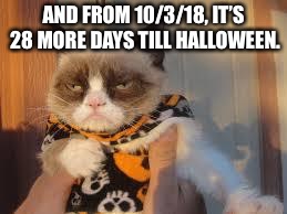 Grumpy Cat Halloween Meme | AND FROM 10/3/18, IT’S 28 MORE DAYS TILL HALLOWEEN. | image tagged in memes,grumpy cat halloween,grumpy cat | made w/ Imgflip meme maker