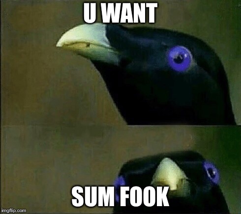 you want sum fuk | U WANT SUM FOOK | image tagged in you want sum fuk | made w/ Imgflip meme maker