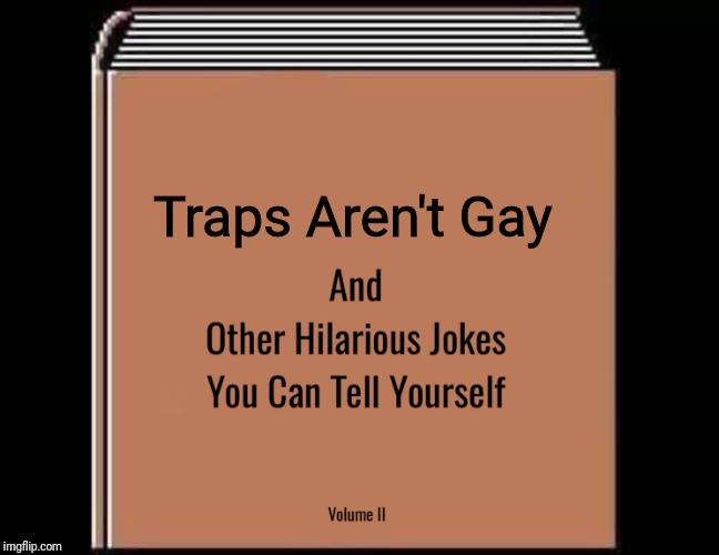 and other hilarious jokes you can tell yourself HD | Traps Aren't Gay | image tagged in and other hilarious jokes you can tell yourself hd | made w/ Imgflip meme maker