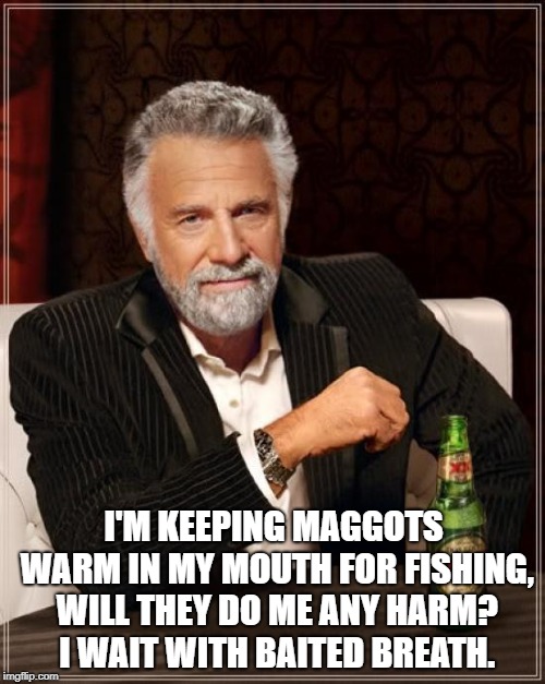 The Most Interesting Man In The World Meme | I'M KEEPING MAGGOTS WARM IN MY MOUTH FOR FISHING, WILL THEY DO ME ANY HARM? 
I WAIT WITH BAITED BREATH. | image tagged in memes,the most interesting man in the world | made w/ Imgflip meme maker