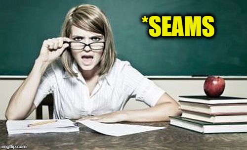 teacher | *SEAMS | image tagged in teacher | made w/ Imgflip meme maker