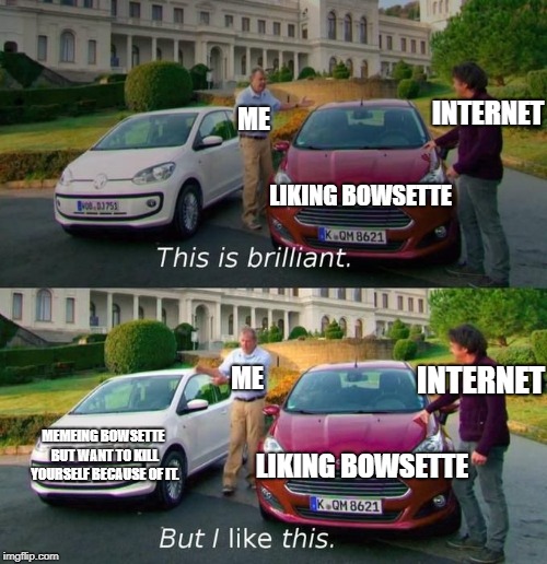 The memes, are too much sometimes.  | INTERNET; ME; LIKING BOWSETTE; INTERNET; ME; MEMEING BOWSETTE BUT WANT TO KILL YOURSELF BECAUSE OF IT. LIKING BOWSETTE | image tagged in this is brilliant but i like this,bowsette,fml | made w/ Imgflip meme maker