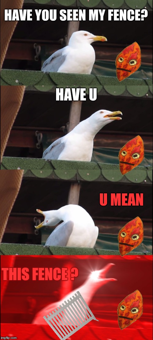 Seagull stole my fence pls help | HAVE YOU SEEN MY FENCE? HAVE U; U MEAN; THIS FENCE
? | image tagged in memes,inhaling seagull,p13rr3,dank memes,funny | made w/ Imgflip meme maker