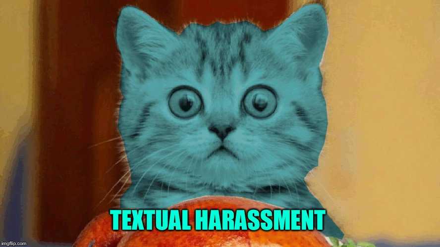 RayCat surprised | TEXTUAL HARASSMENT | image tagged in raycat surprised | made w/ Imgflip meme maker