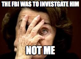 THE FBI WAS TO INVESTIGATE HIM | THE FBI WAS TO INVESTGATE HIM; NOT ME | image tagged in dianne feinstein,feinstein | made w/ Imgflip meme maker
