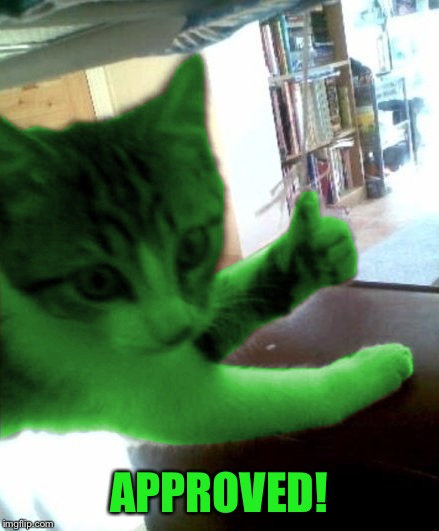 thumbs up RayCat | APPROVED! | image tagged in thumbs up raycat | made w/ Imgflip meme maker