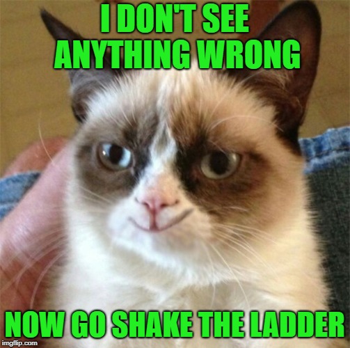 I DON'T SEE ANYTHING WRONG NOW GO SHAKE THE LADDER | made w/ Imgflip meme maker