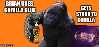 Looks like they'll be friends far awhile. | BRIAN USES GORILLA GLUE; GETS STUCK TO GORILLA | image tagged in drsarcasm,bad construction week,bad luck brian,gorilla,memes,funny | made w/ Imgflip meme maker