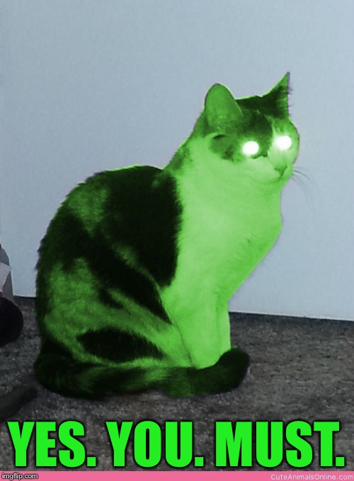 Hypno Raycat | YES. YOU. MUST. | image tagged in hypno raycat | made w/ Imgflip meme maker