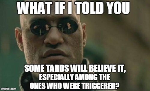Matrix Morpheus Meme | WHAT IF I TOLD YOU ESPECIALLY AMONG THE ONES WHO WERE TRIGGERED? SOME TARDS WILL BELIEVE IT, | image tagged in memes,matrix morpheus | made w/ Imgflip meme maker