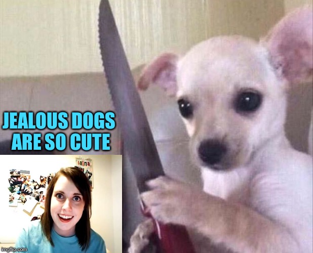 A little too good doggie. | JEALOUS DOGS ARE SO CUTE | image tagged in overly attached girlfriend,dog,jealous,cute,memes,funny | made w/ Imgflip meme maker