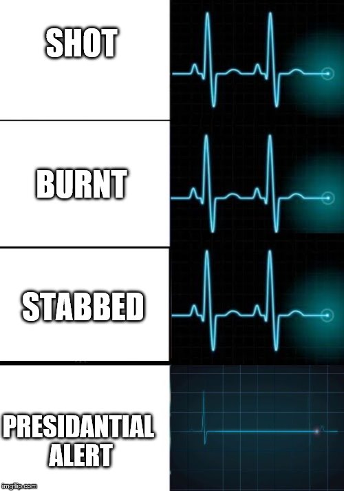 Heart Pulse Difference | SHOT; BURNT; STABBED; PRESIDANTIAL ALERT | image tagged in heart pulse difference | made w/ Imgflip meme maker