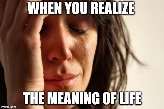 First World Problems Meme | WHEN YOU REALIZE; THE MEANING OF LIFE | image tagged in memes,first world problems | made w/ Imgflip meme maker