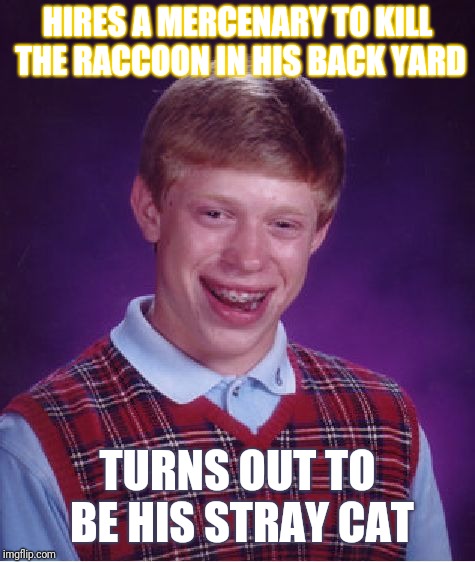Bad Luck Brian | HIRES A MERCENARY TO KILL THE RACCOON IN HIS BACK YARD; TURNS OUT TO BE HIS STRAY CAT | image tagged in memes,bad luck brian | made w/ Imgflip meme maker