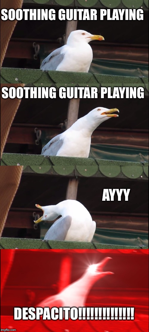 Inhaling Seagull | SOOTHING GUITAR PLAYING; SOOTHING GUITAR PLAYING; AYYY; DESPACITO!!!!!!!!!!!!!! | image tagged in memes,inhaling seagull | made w/ Imgflip meme maker