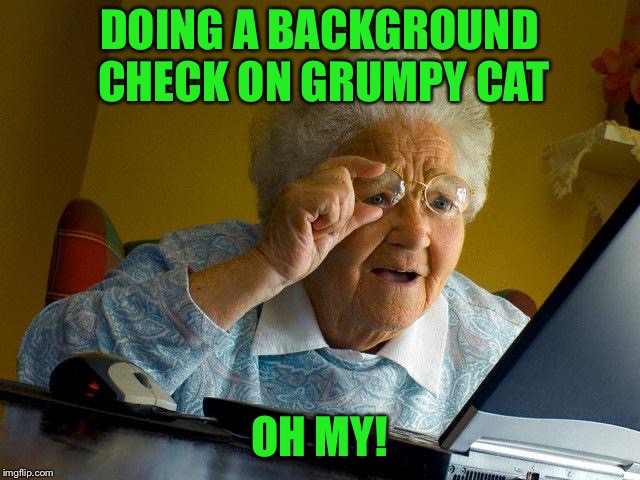 Grandma Finds The Internet Meme | DOING A BACKGROUND CHECK ON GRUMPY CAT OH MY! | image tagged in memes,grandma finds the internet | made w/ Imgflip meme maker