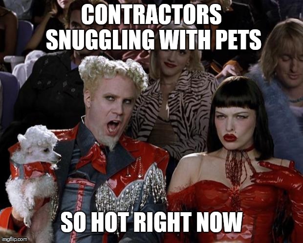Mugatu So Hot Right Now Meme | CONTRACTORS SNUGGLING WITH PETS; SO HOT RIGHT NOW | image tagged in memes,mugatu so hot right now | made w/ Imgflip meme maker