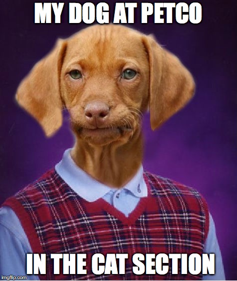 Bad Luck Raydog | MY DOG AT PETCO; IN THE CAT SECTION | image tagged in bad luck raydog | made w/ Imgflip meme maker