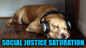 I can't even, dog | SOCIAL JUSTICE SATURATION | image tagged in dog can't even | made w/ Imgflip meme maker