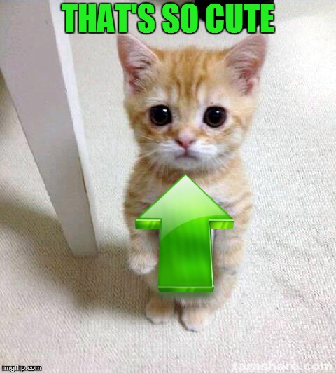 Cute Cat Meme | THAT'S SO CUTE | image tagged in memes,cute cat | made w/ Imgflip meme maker