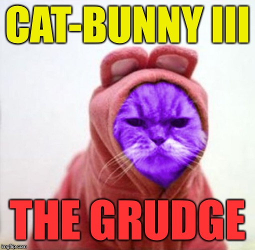 Sullen RayCat | CAT-BUNNY III THE GRUDGE | image tagged in sullen raycat | made w/ Imgflip meme maker