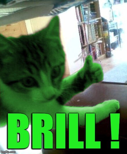 thumbs up RayCat | BRILL ! | image tagged in thumbs up raycat | made w/ Imgflip meme maker