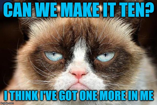 Grumpy Cat Not Amused Meme | CAN WE MAKE IT TEN? I THINK I'VE GOT ONE MORE IN ME | image tagged in memes,grumpy cat not amused,grumpy cat | made w/ Imgflip meme maker