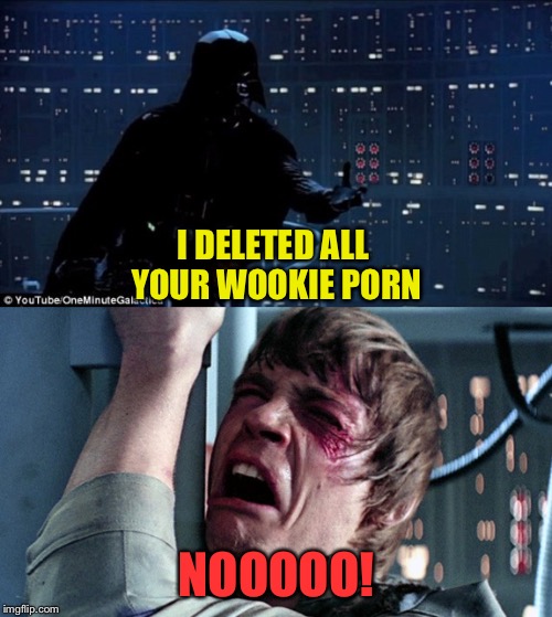 darth vader luke skywalker | I DELETED ALL YOUR WOOKIE PORN NOOOOO! | image tagged in darth vader luke skywalker | made w/ Imgflip meme maker