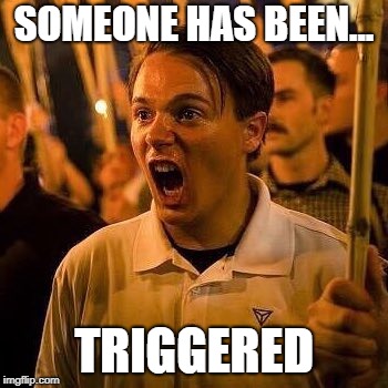 Angry white guy | SOMEONE HAS BEEN... TRIGGERED | image tagged in angry white guy | made w/ Imgflip meme maker