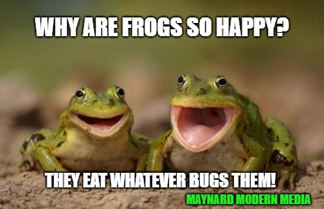 two happy frogs  | WHY ARE FROGS SO HAPPY? THEY EAT WHATEVER BUGS THEM! MAYNARD MODERN MEDIA | image tagged in two happy frogs | made w/ Imgflip meme maker