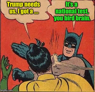 Batman Slapping Robin Meme | Trump needs us, I got a .... It’s a national test, you bird brain. | image tagged in memes,batman slapping robin | made w/ Imgflip meme maker
