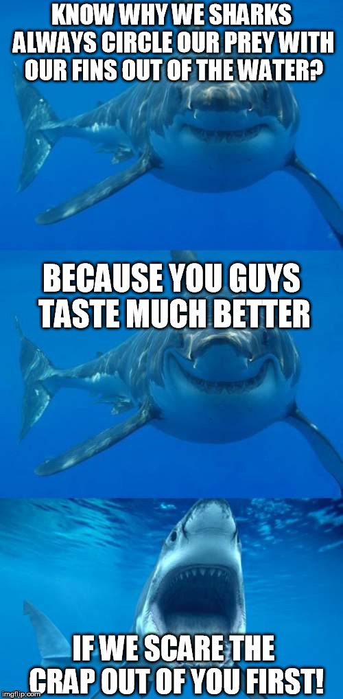 Bad Shark Pun  | KNOW WHY WE SHARKS ALWAYS CIRCLE OUR PREY WITH OUR FINS OUT OF THE WATER? BECAUSE YOU GUYS TASTE MUCH BETTER; IF WE SCARE THE CRAP OUT OF YOU FIRST! | image tagged in bad shark pun | made w/ Imgflip meme maker