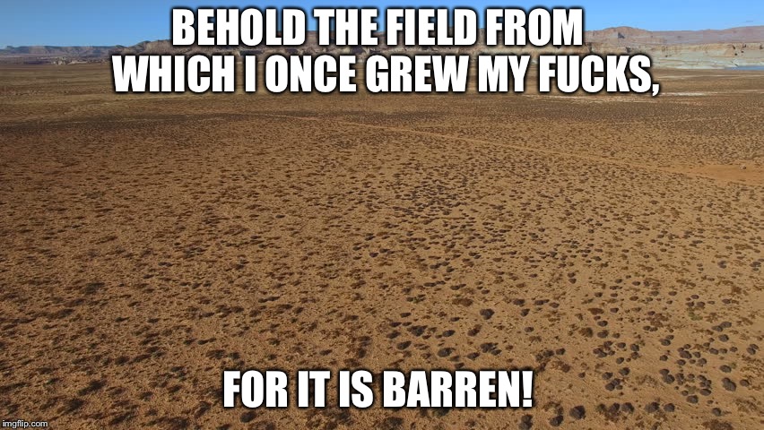 Field of Fucks | BEHOLD THE FIELD FROM  WHICH I ONCE GREW MY FUCKS, FOR IT IS BARREN! | image tagged in field of fucks | made w/ Imgflip meme maker