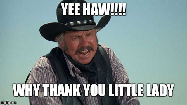 Slim Pickens | YEE HAW!!!! WHY THANK YOU LITTLE LADY | image tagged in slim pickens | made w/ Imgflip meme maker