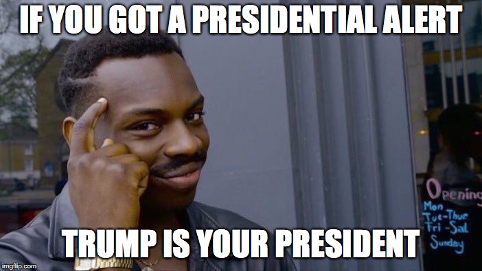 Not Hillary | IF YOU GOT A PRESIDENTIAL ALERT; TRUMP IS YOUR PRESIDENT | image tagged in memes,roll safe think about it | made w/ Imgflip meme maker