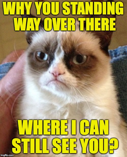 Grumpy Cat Meme | WHY YOU STANDING WAY OVER THERE; WHERE I CAN STILL SEE YOU? | image tagged in memes,grumpy cat | made w/ Imgflip meme maker