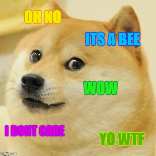 Doge | OH NO; ITS A BEE; WOW; I DONT CARE; YO WTF | image tagged in memes,doge | made w/ Imgflip meme maker