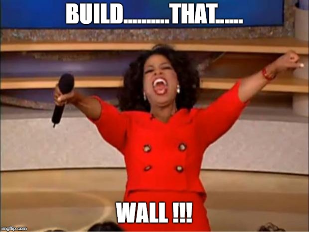 Oprah You Get A Meme | BUILD..........THAT...... WALL !!! | image tagged in memes,oprah you get a | made w/ Imgflip meme maker