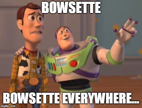 X, X Everywhere | BOWSETTE; BOWSETTE EVERYWHERE... | image tagged in x x everywhere | made w/ Imgflip meme maker