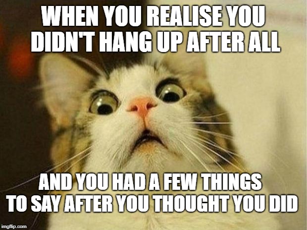 Scared Cat | WHEN YOU REALISE YOU DIDN'T HANG UP AFTER ALL; AND YOU HAD A FEW THINGS TO SAY AFTER YOU THOUGHT YOU DID | image tagged in memes,scared cat | made w/ Imgflip meme maker