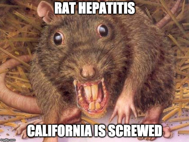 California is screwed | RAT HEPATITIS; CALIFORNIA IS SCREWED | image tagged in california,rats,scary,funny | made w/ Imgflip meme maker